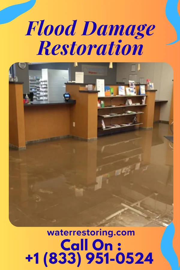 Flood Damage Restoration in Trucksville, PA