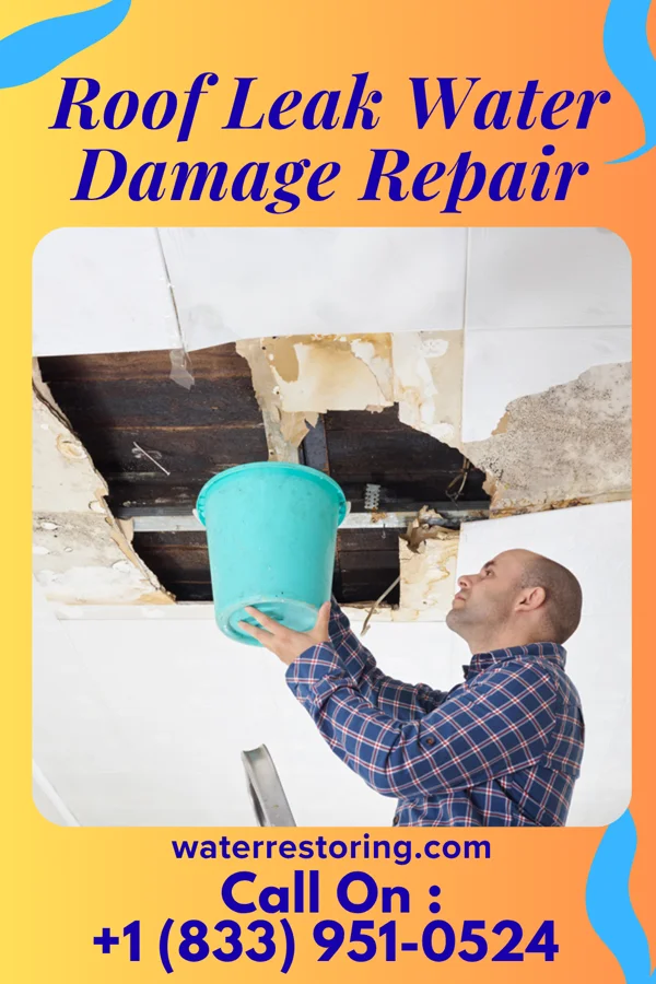 Roof Leak Water Damage Repair in Trucksville, PA