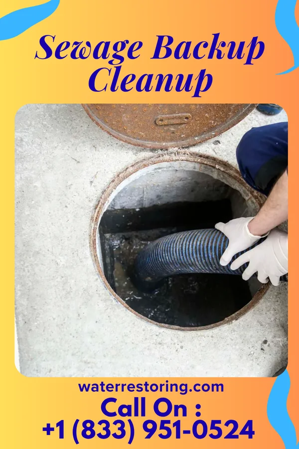 Sewage Backup Cleanup in Trucksville, PA